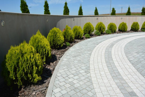 Best Local Driveway Pavers  in Rosharon, TX